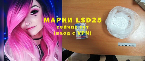 apvp Каменка