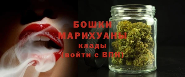apvp Каменка