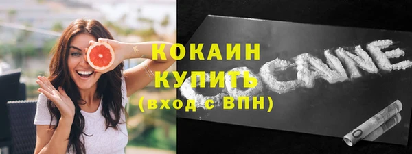 apvp Каменка