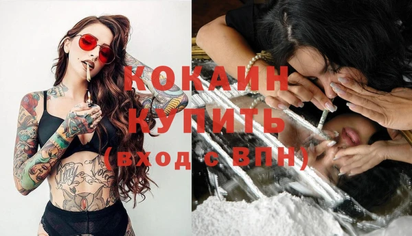 apvp Каменка