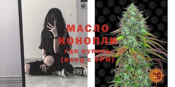 apvp Каменка