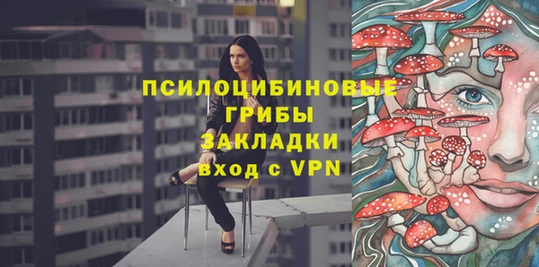 apvp Каменка