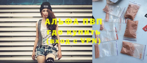apvp Каменка