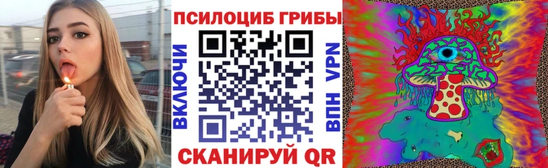 Купить где  Кораблино  Псилоцибиновые грибы GOLDEN TEACHER 